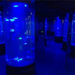 acrylic jellyfish aquarium glass tank